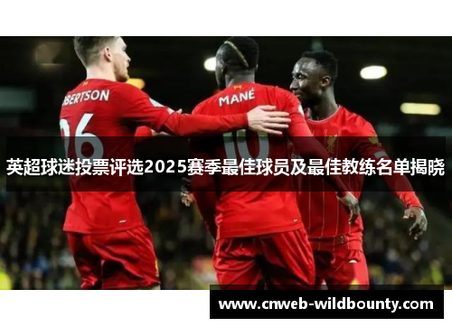 英超球迷投票评选2025赛季最佳球员及最佳教练名单揭晓 英超球迷投票评选2025赛季最佳球员及最佳教练名单揭晓