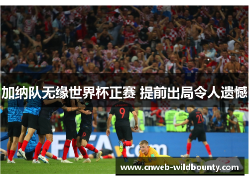 加纳队无缘世界杯正赛 提前出局令人遗憾